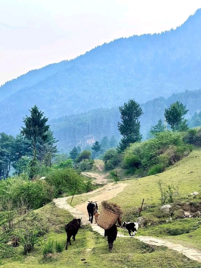Himalayan Hideouts, 5 Secret Valleys in Tibet That Totally Slap