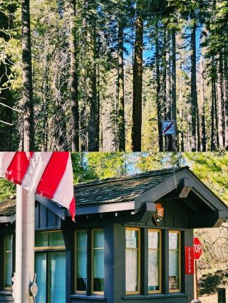 Yosemite, a travelogue that humbles itself before the grandeur of nature