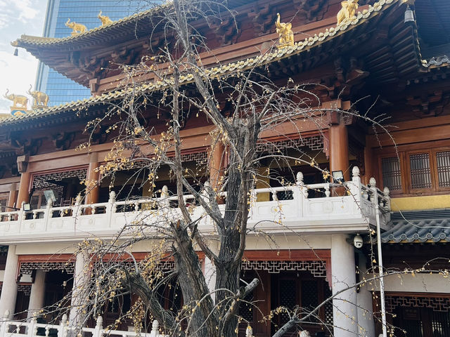 靜安寺：一片喧囂中的寧靜