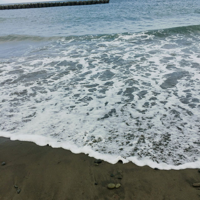 河津櫻