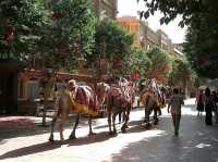Kashgar Old City Feels Like Another World