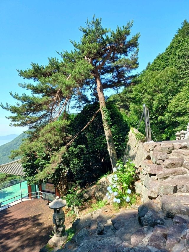 숲길 따라 만나는 고요함