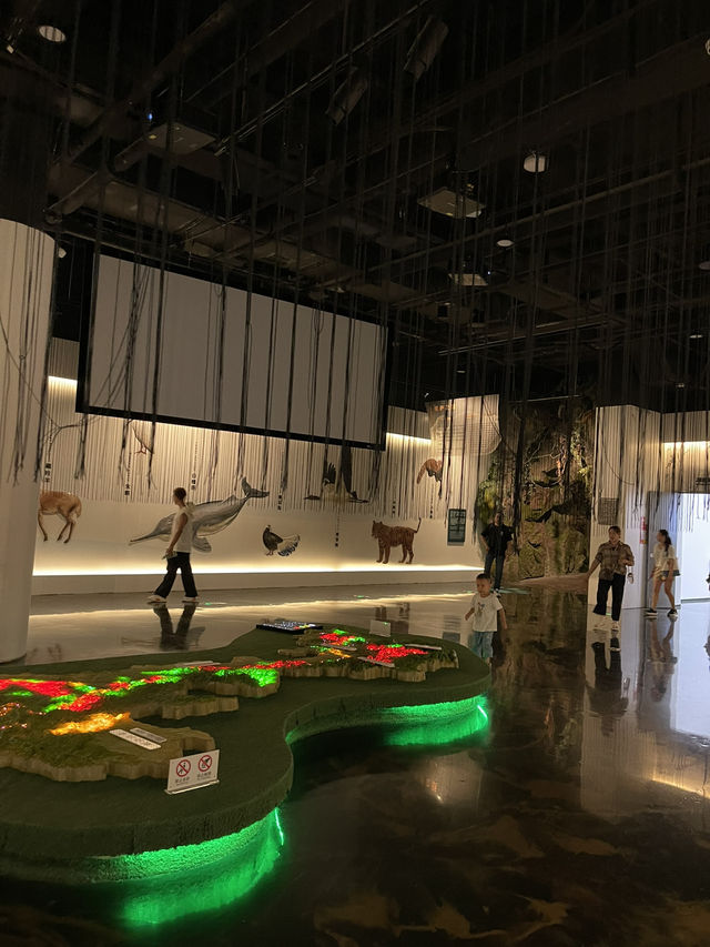 Chengdu Panda museum 🐼