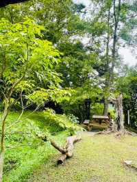 神秘又深山的美食餐廳