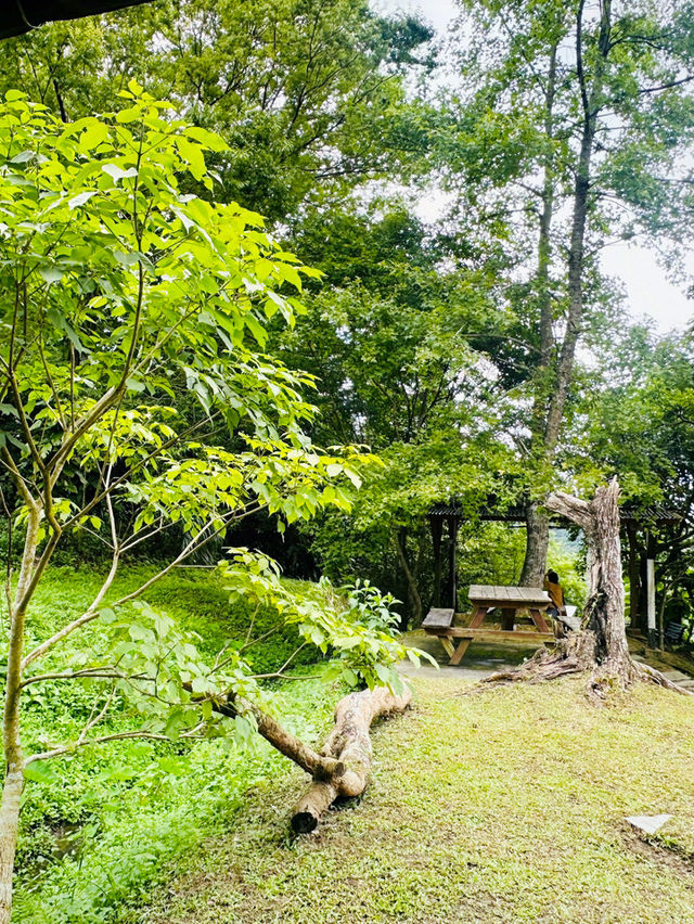 神秘又深山的美食餐廳