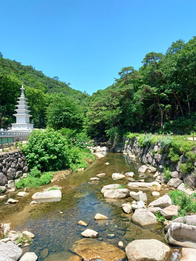 마음이 정화되는 곳🌿