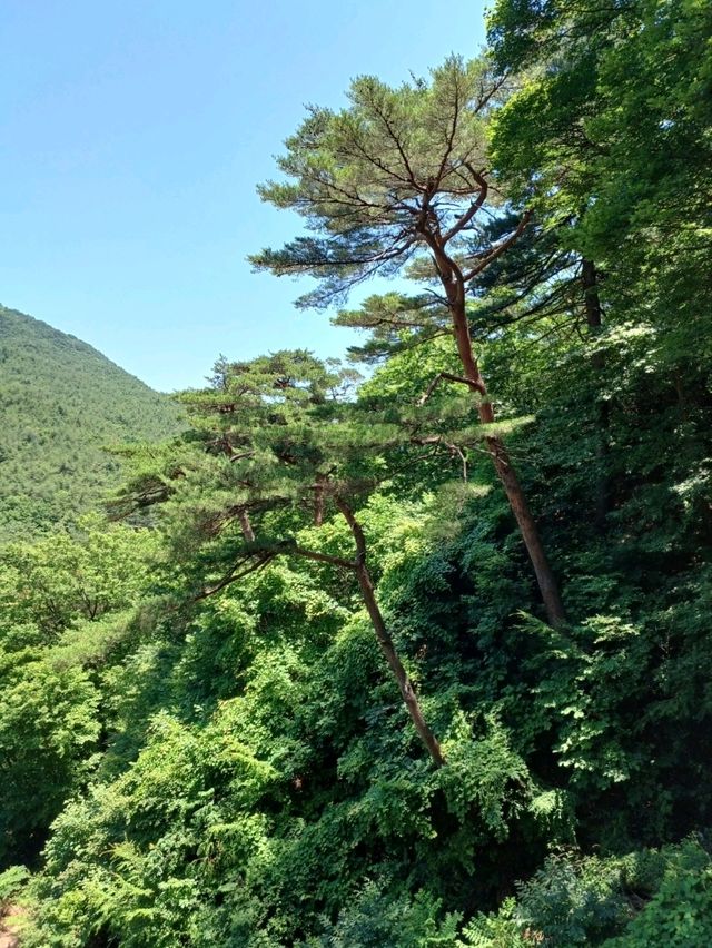 절경의 사찰