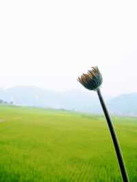 Bac Kan travel experience