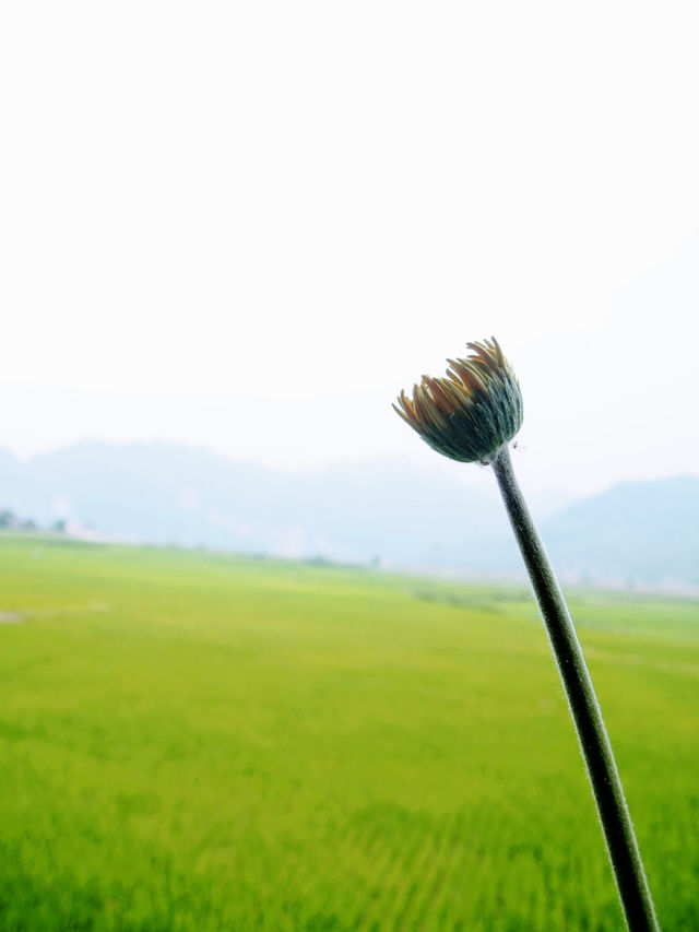 Bac Kan travel experience