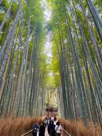 京都必去景點 伏見稻荷大社 嵐山 琉璃繪