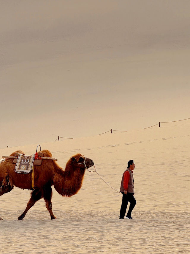 🏜️ Mingsha Mountain – Where the Sand Sings