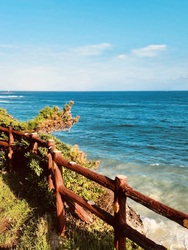 Panoramic Ocean Views from Jeju's Southern Coast