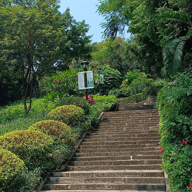 在繁華的城市裏行吓山不錯的 在繁華的城市裏行吓山不錯的