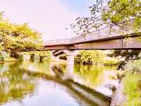⛩️ Let’s Go to Fushimi – Kyoto’s Sake & Shrine Wonderland! 🍶
