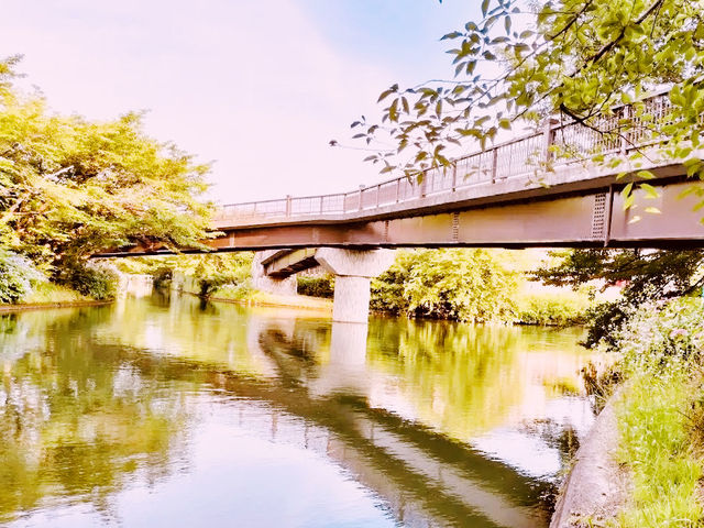 ⛩️ Let’s Go to Fushimi – Kyoto’s Sake & Shrine Wonderland! 🍶