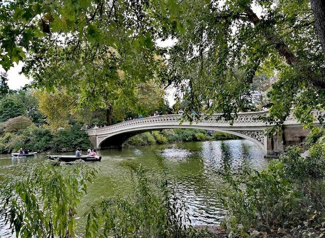 中央公園