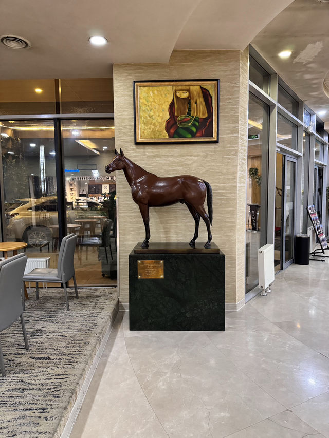 🇲🇳本気の冬モード⛄🌬️【Ramada Ulaanbaatar Citycenter Hotel】