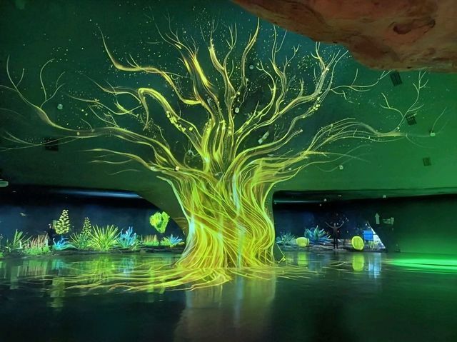 Enchanted forest light show at the Greenhouse