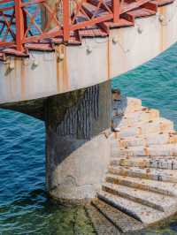 Healed by the Sea – Yantai Yangma Island’s Endless Blue 🌊