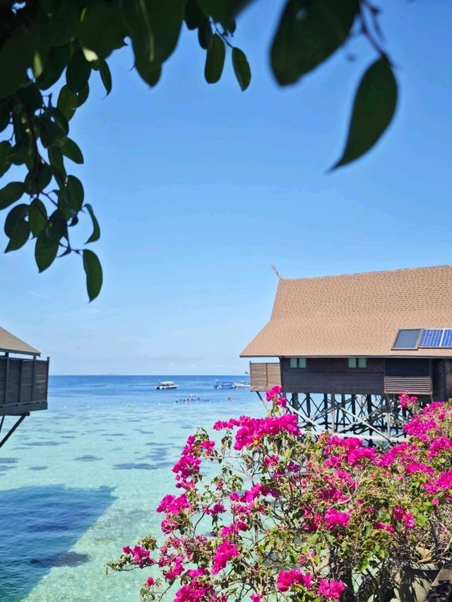 🇲🇾【仙本那4天3夜海岛度假｜跳岛+水屋+海鲜盛宴】🌊🐠🛶