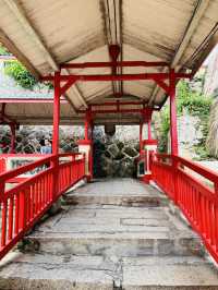 Walking the Red Pathway to Serenity