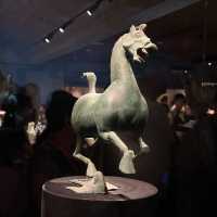 🏛 Gansu Provincial Museum — A Silk Road Time Capsule