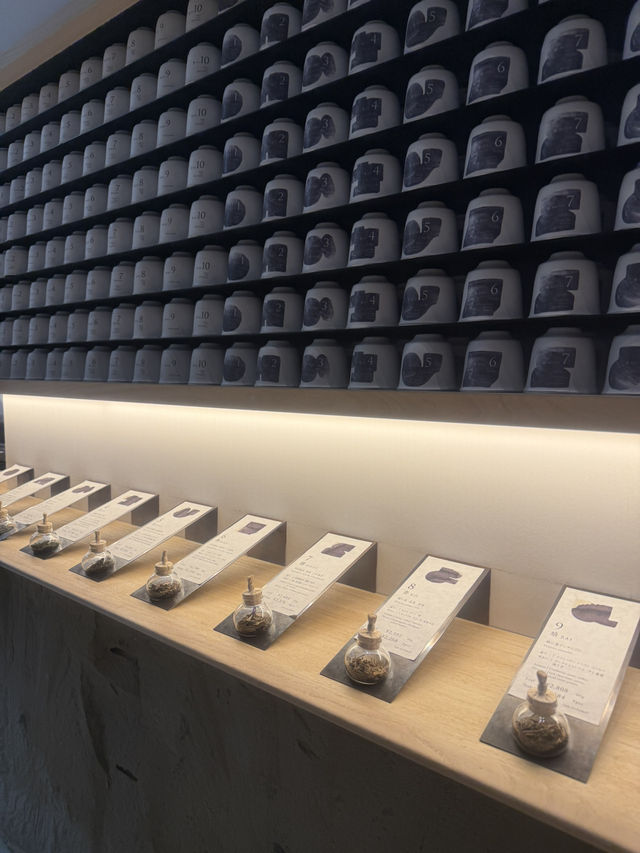 🍵麻布台ヒルズで見つけた“現代日本茶の新体験” — SABOE TOKYOで過ごすひととき