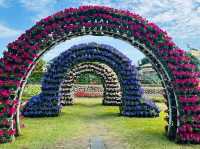 Zhongshe Flower Market Taiwan: Fields of Colorful Dreams