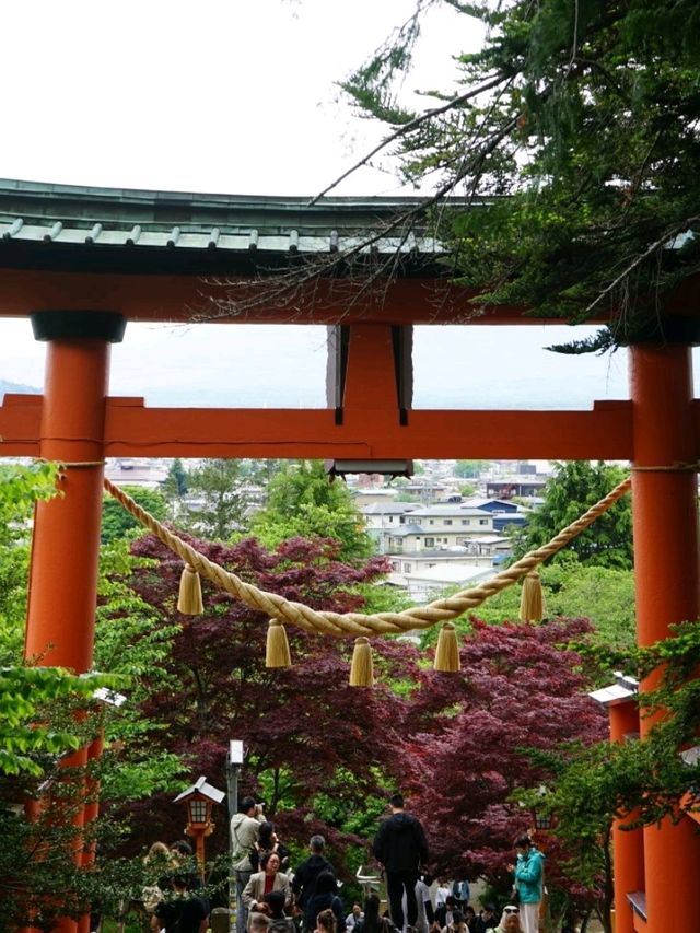 淺間神社的霧中相見🏔與富士山的未完之約⛰️
