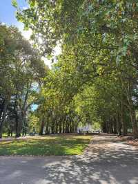【Carlton Gardens｜墨爾本的歐式綠肺】