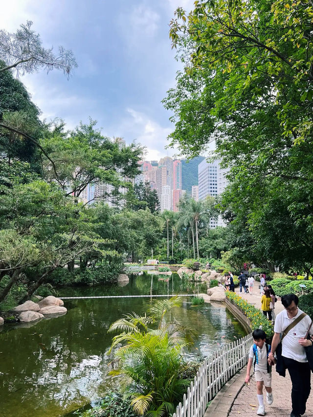 A Serene Escape: Flowers in Hong Kong Park