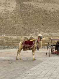 Unveiling the Ancient Majesty of the Ark of Bukhara