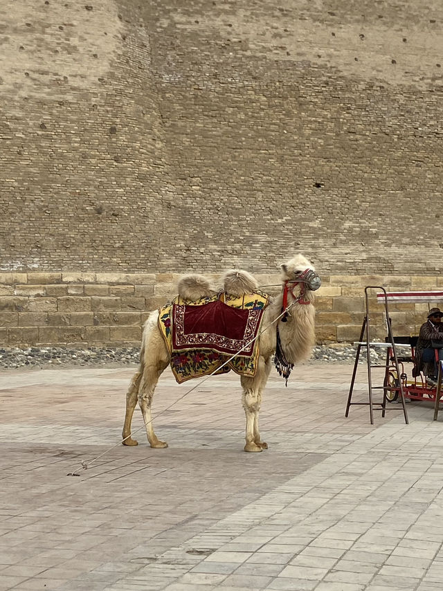 Unveiling the Ancient Majesty of the Ark of Bukhara