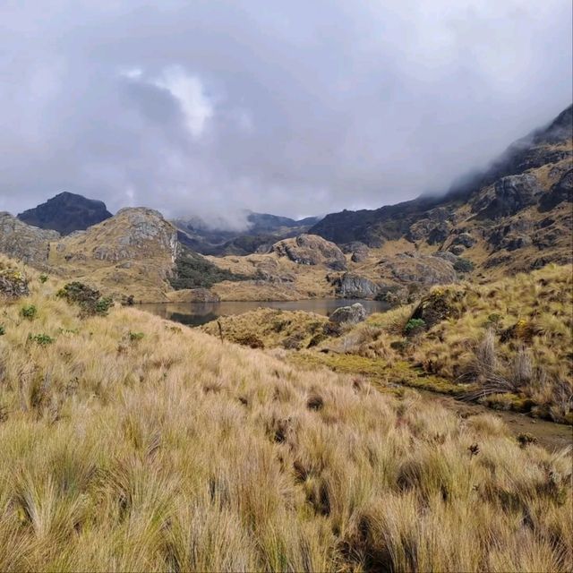 Exploring the Wild Beauty of El Cajas National Park