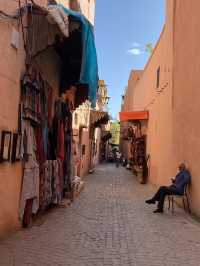The Red City: The Medina of Marrakech