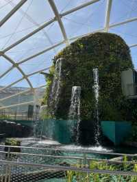 Urban Jungle: Exploring the Philippine Biodome