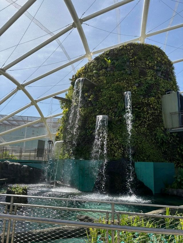 Urban Jungle: Exploring the Philippine Biodome
