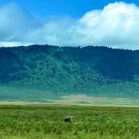 Ngorongoro Crater – A Surreal Safari Paradise
