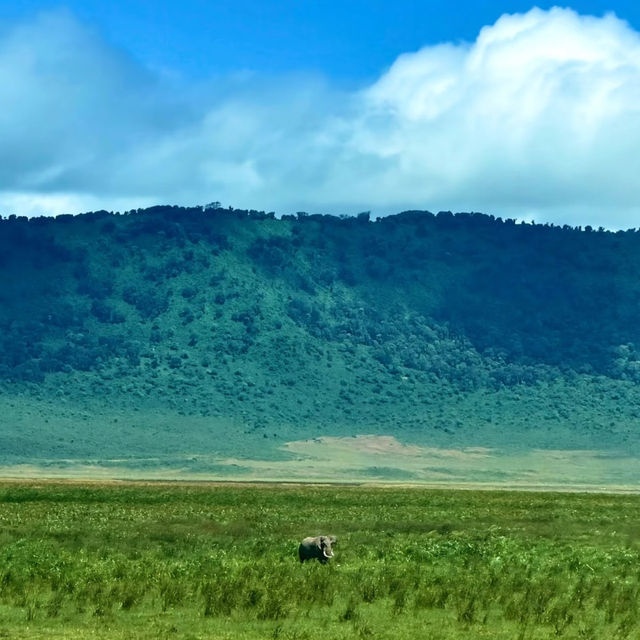 Ngorongoro Crater – A Surreal Safari Paradise