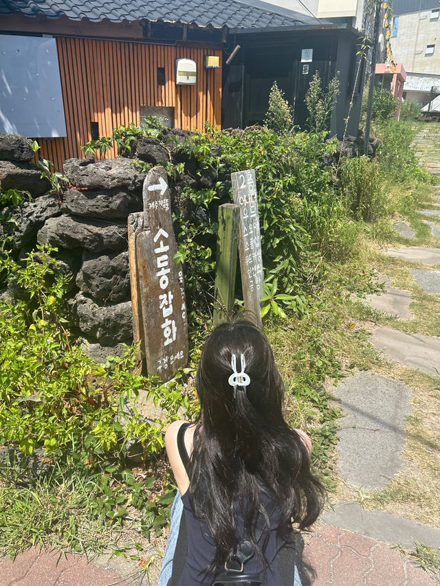 여름이 떠나가기 전 동쪽 제주 🌻