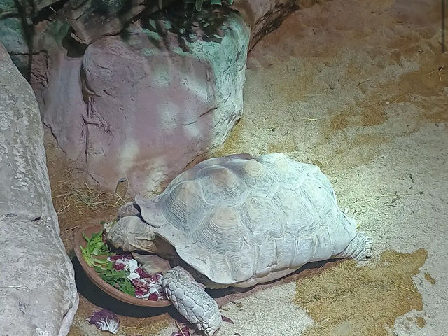 Acquario di Genova (Genoa)