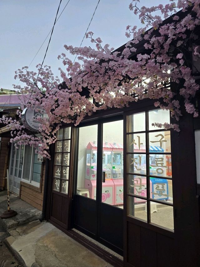 여전히 포항여행 필수코스인 구룡포💜