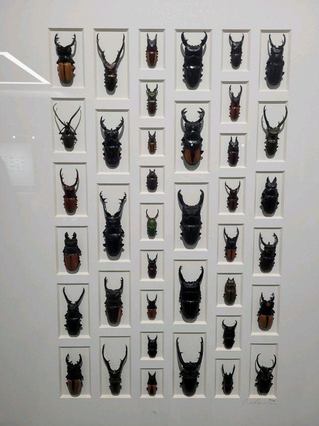 Nature exhibit at Beijing 798 Art District