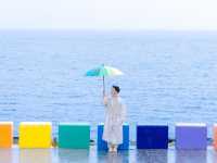 Seoul and Jeju Island Moments