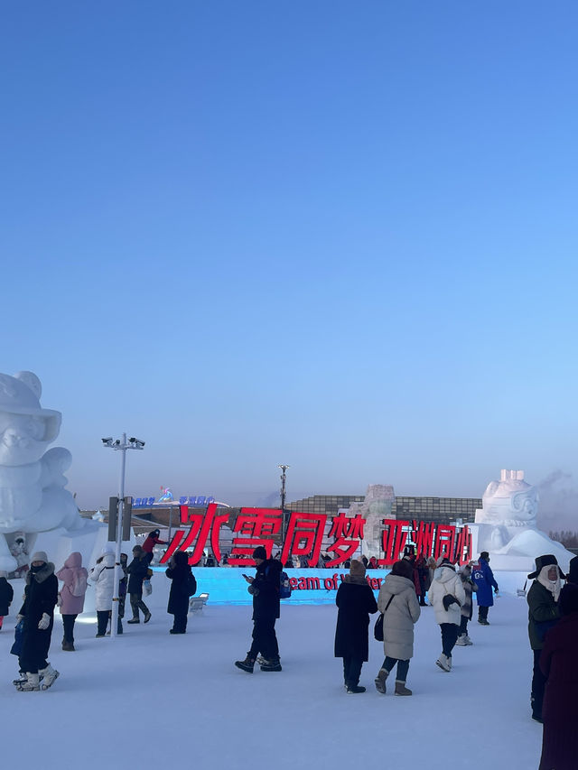 Harbin Ice and Snow World ❄️☃️