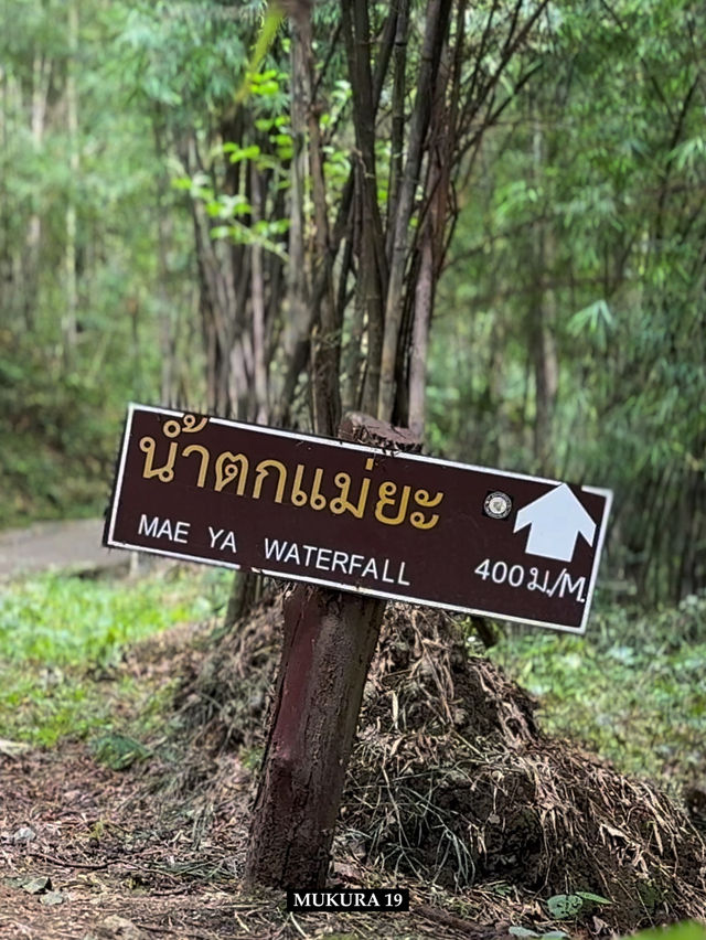 น้ำตกแม่ยะ ความงดงามแห่งดอยอินทนนท์ น้ำตกแม่ยะ ความงดงามแห่งดอยอินทนนท์