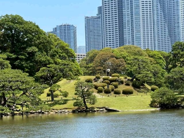 Hama-rikyu Gardens