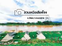 ชวน Camping @สวนเหนือเคียงโขง อ.สังคม จ.หนองคาย