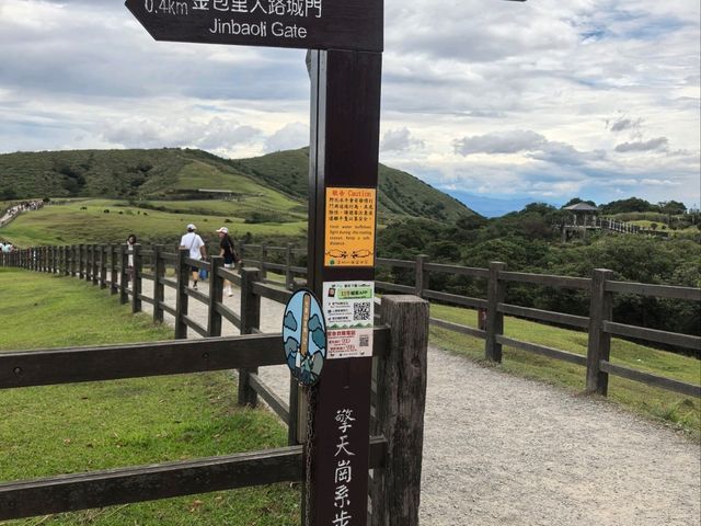 新北必去!擎天崗大草原放空指南🌿免費衝進牛群的世界! 新北必去!擎天崗大草原放空指南🌿免費衝進牛群的世界!