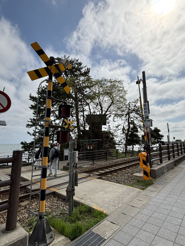 雨晴海岸：晴空下的鐵道夢境 🌞🚆
